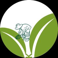 Krishi Network Logo
